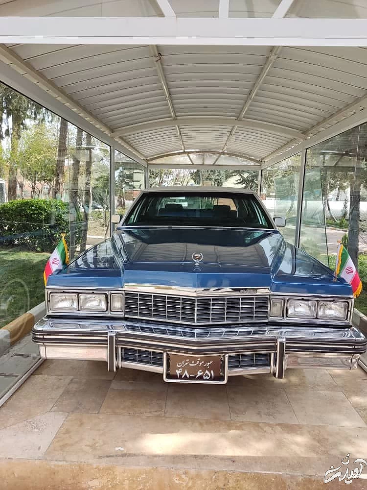 photo_2022-03-20_11-34-11 (2)